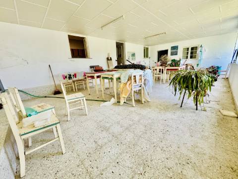 Moradia V8 c/garagem e um lindo espaço exterior na linda Vila Histórica de Flor da Rosa