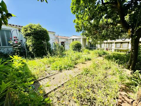 Moradia V8 c/garagem e um lindo espaço exterior na linda Vila Histórica de Flor da Rosa