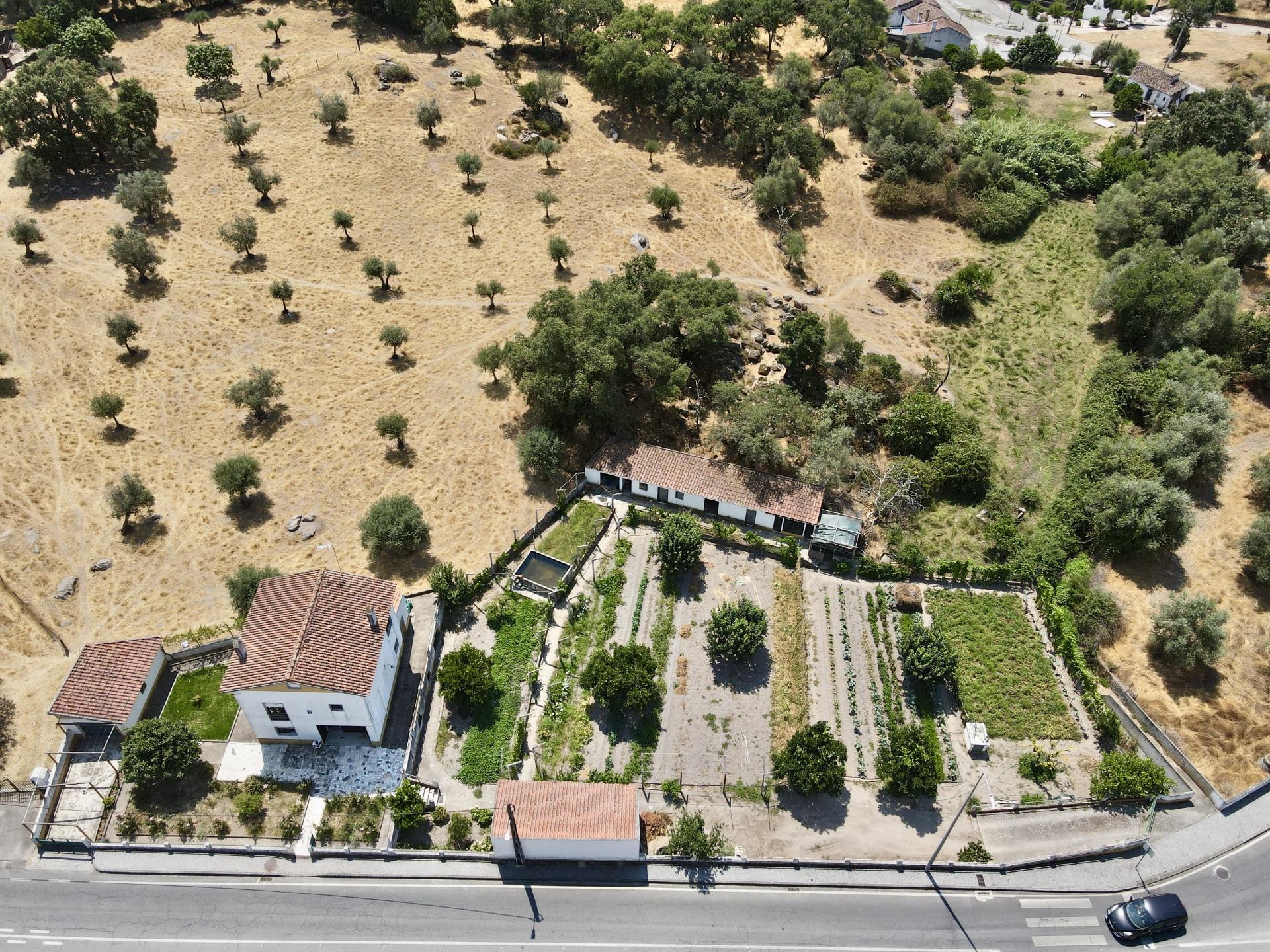 Moradia/Quinta com Terreno - À Entrada da Vila do Crato