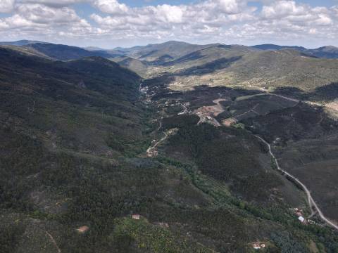 Terreno misto com habitação - 37 hectares - Serra de São Mamede, Portalegre