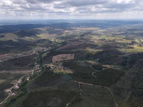 Terreno misto com habitação - 37 hectares - Serra de São Mamede, Portalegre