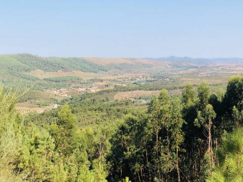 Terreno misto com habitação - 37 hectares - Serra de São Mamede, Portalegre