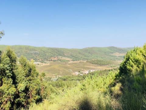 Terreno misto com habitação - 37 hectares - Serra de São Mamede, Portalegre