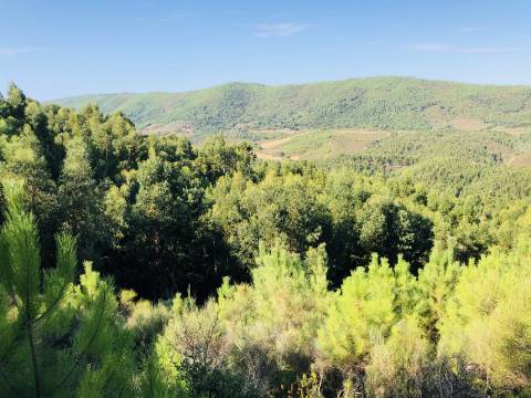 Terreno misto com habitação - 37 hectares - Serra de São Mamede, Portalegre