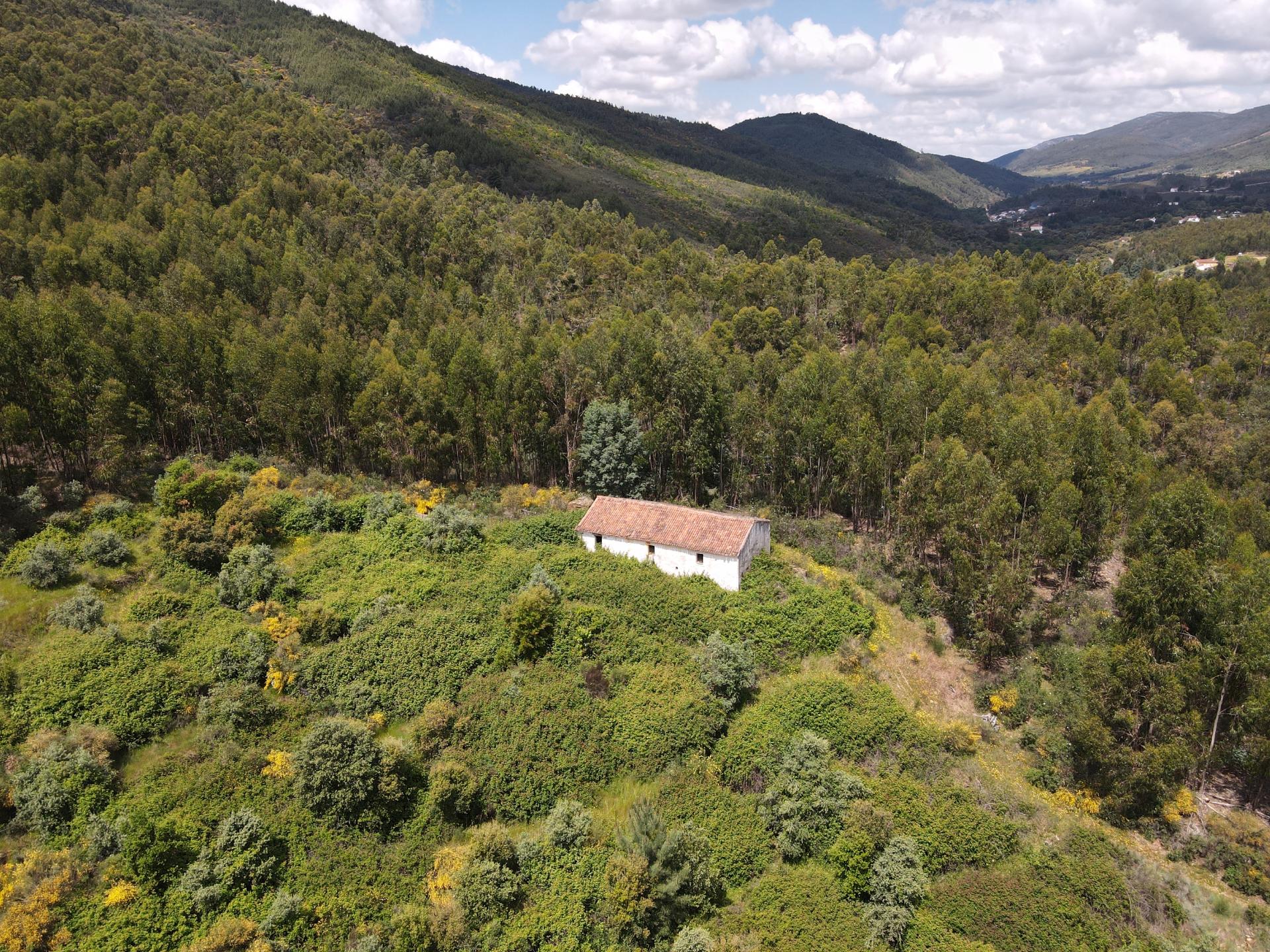 Moradia para Reabilitação Total em Terreno de 37 Hectares - Serra de São Mamede, Portalegre