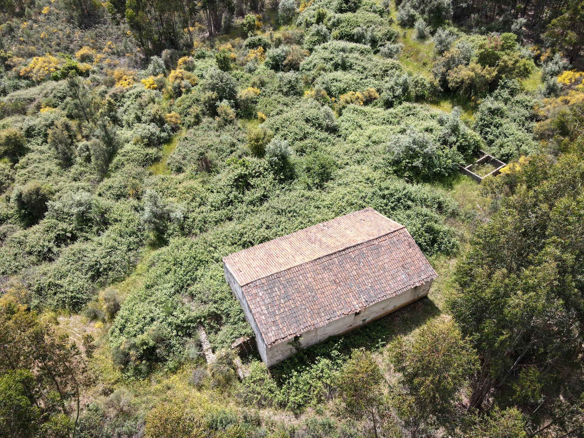 Moradia para Reabilitação Total em Terreno de 37 Hectares - Serra de São Mamede, Portalegre