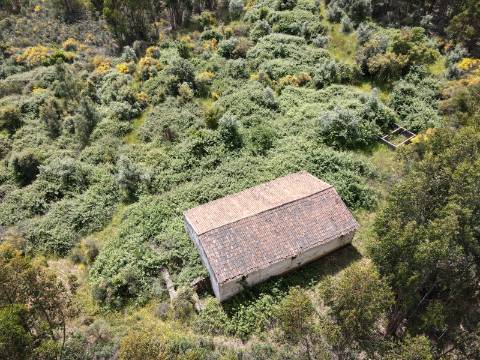 Moradia para Reabilitação Total em Terreno de 37 Hectares - Serra de São Mamede, Portalegre