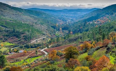 Moradia para Reabilitação Total em Terreno de 37 Hectares - Serra de São Mamede, Portalegre
