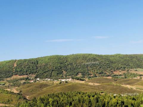 Moradia para Reabilitação Total em Terreno de 37 Hectares - Serra de São Mamede, Portalegre