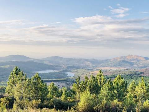 Moradia para Reabilitação Total em Terreno de 37 Hectares - Serra de São Mamede, Portalegre