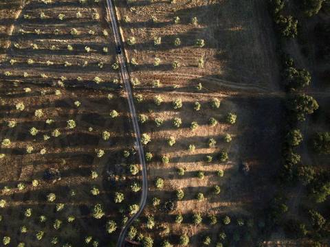 Terreno rústico com artigo urbano para reconstrução ou casa modular - Casa Branca (Sousel)