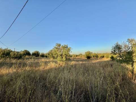 Terreno rústico com artigo urbano para reconstrução ou casa modular - Casa Branca (Sousel)