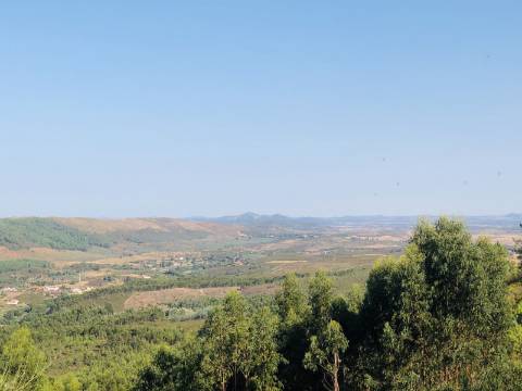 Conjunto de 5 Terrenos Rústicos - Serra de São Mamede, Portalegre - Set of 5 Rustic Plots - Serra de São Mamede, Portalegre