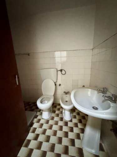 O Encanto do Alentejo em Vale do Peso / Casa com Quintal e Alma Alentejana