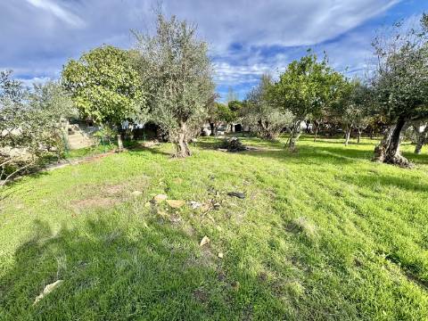 O Encanto do Alentejo em Vale do Peso / Casa com Quintal e Alma Alentejana