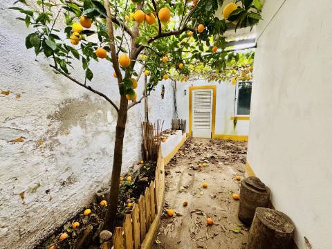 Casa Térrea com Quintal O Refúgio Perfeito no Crato / Your Peaceful Alentejo Retreat Awaits in Crato