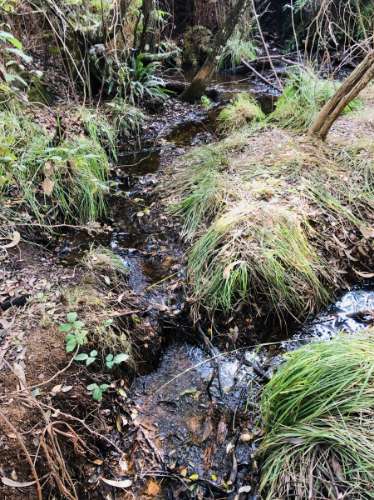 Terreno misto com habitação 37 hectares Serra de São Mamede, Portalegre