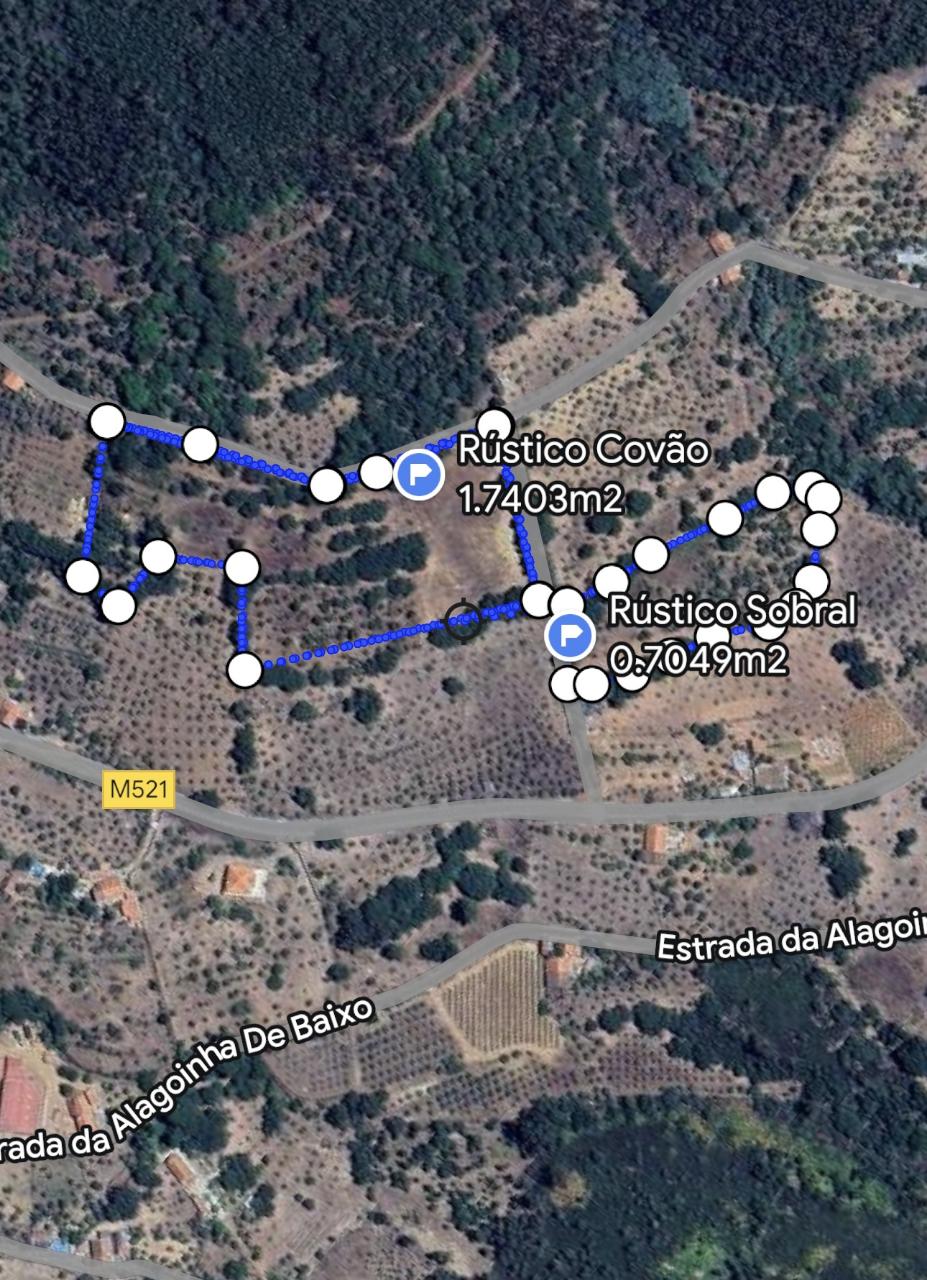 19 Hectares Conjunto de 5 Terrenos Rústicos - Serra de São Mamede, Portalegre - Set of 5 Rustic Plots - Serra de São Mamede, Portalegre