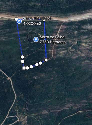 19 Hectares Conjunto de 5 Terrenos Rústicos - Serra de São Mamede, Portalegre - Set of 5 Rustic Plots - Serra de São Mamede, Portalegre