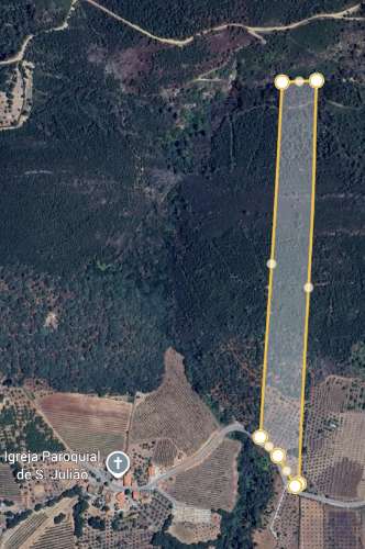 19 Hectares Conjunto de 5 Terrenos Rústicos - Serra de São Mamede, Portalegre - Set of 5 Rustic Plots - Serra de São Mamede, Portalegre