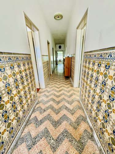 Casa Ampla com Quintal Ideal para Turismo Rural / Alojamento Local