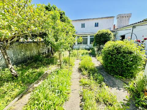 Casa Ampla com Quintal Ideal para Turismo Rural / Alojamento Local
