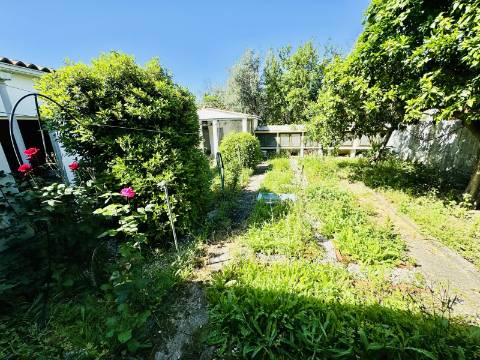 Casa Ampla com Quintal Ideal para Turismo Rural / Alojamento Local