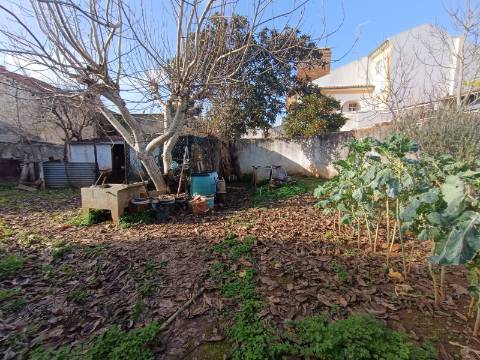 Oportunidade com quintal amplo moradia térrea T2 em Casa Branca.