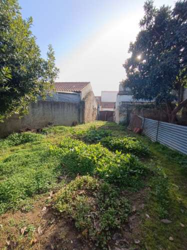 Oportunidade com quintal amplo moradia térrea T2 em Casa Branca.