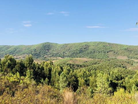 Propriedade com Habitação para Reabilitação e 37 Hectares de Natureza 
Property with House for Renovation and 37 Hectares of Nature