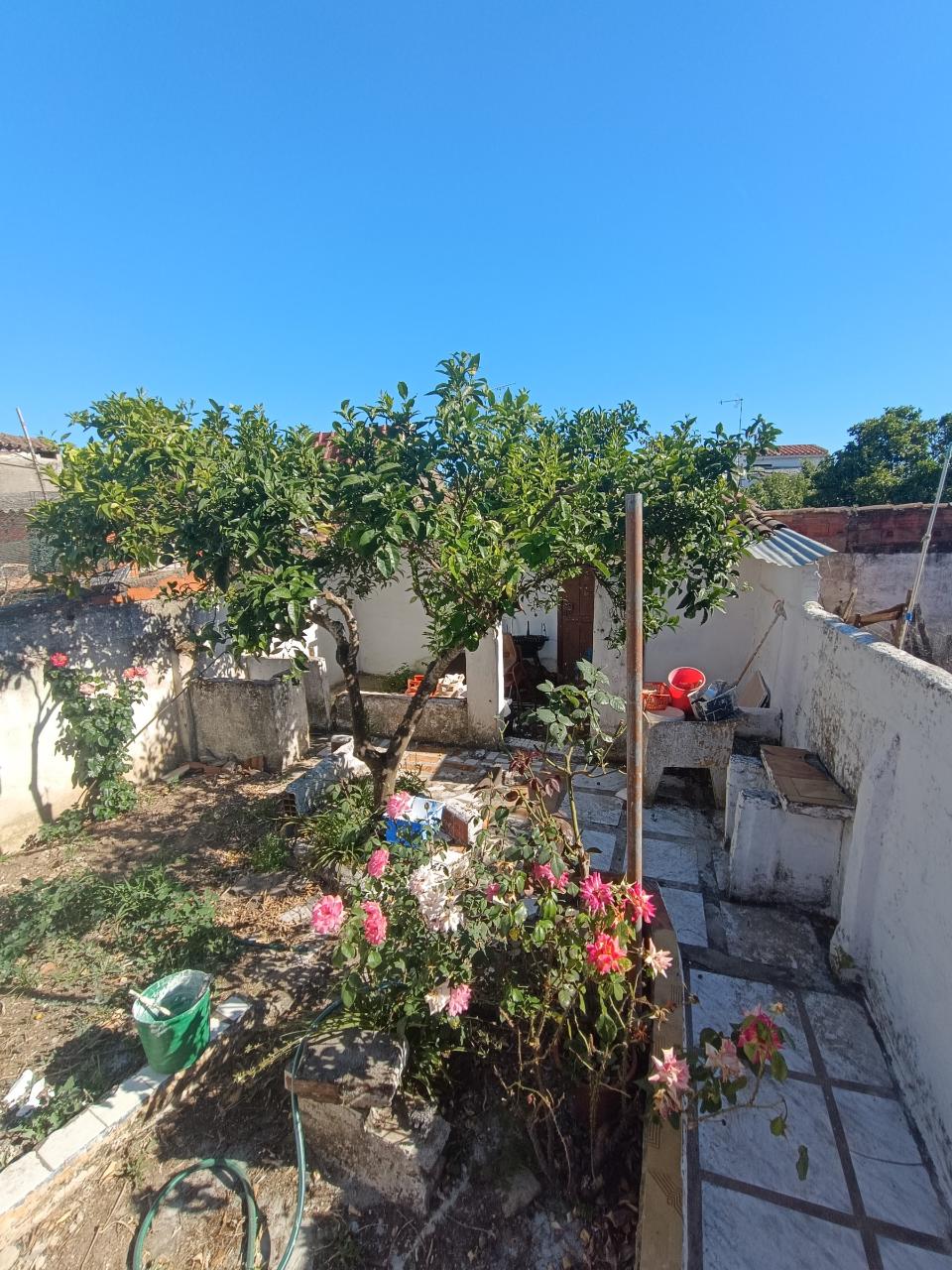 Moradia térrea com quintal na Casa Branca