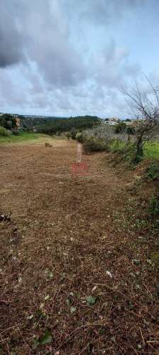 Terreno Urbanizável, 4.546 m², Alcobaça