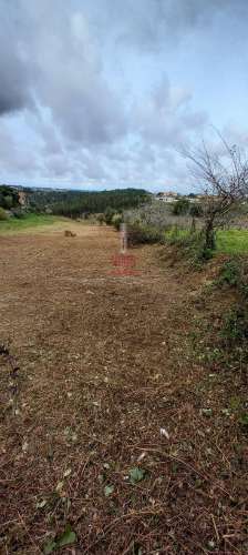 Terreno Urbanizável, 4.546 m², Alcobaça