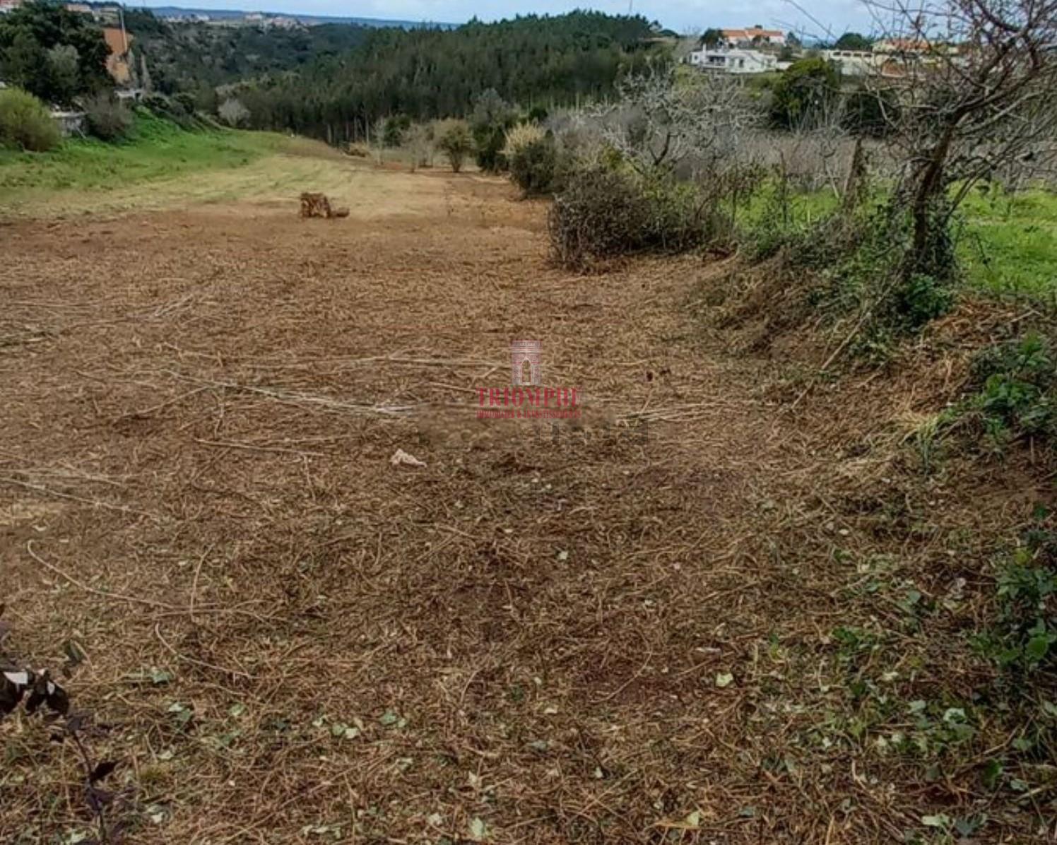 Terreno Urbanizável, 4.546 m², Alcobaça