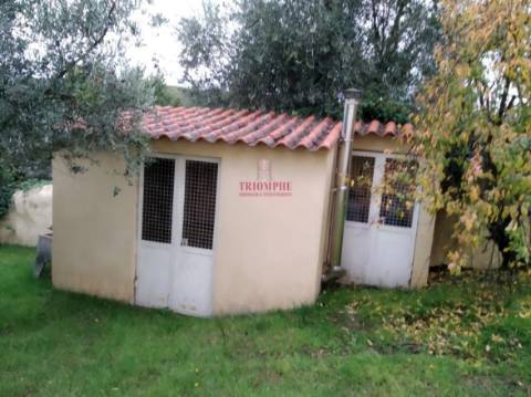 Moradia T7, Covilhã, Castelo Branco