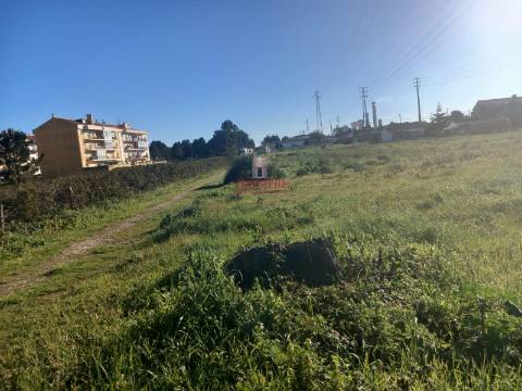 Terreno para construção 9.600m2 Marinha Grande