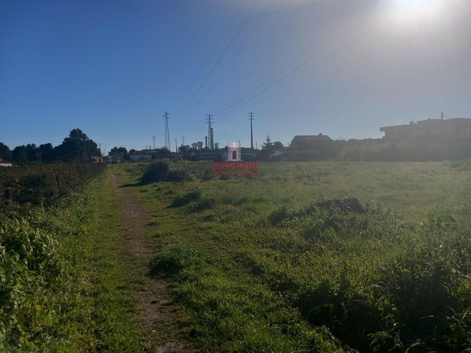 Terreno para construção 9.600m2 Marinha Grande