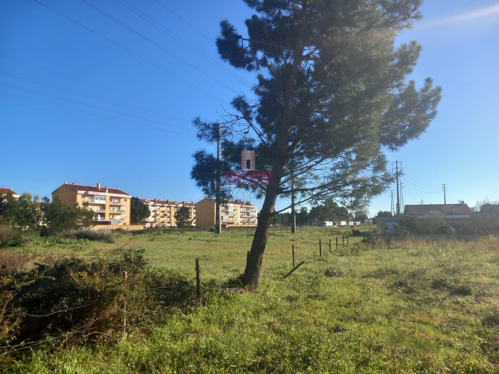 Terreno para construção 9.600m2 Marinha Grande