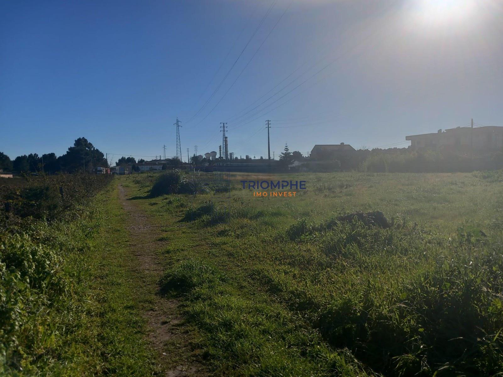 Terreno para construção 9.600m2 Marinha Grande