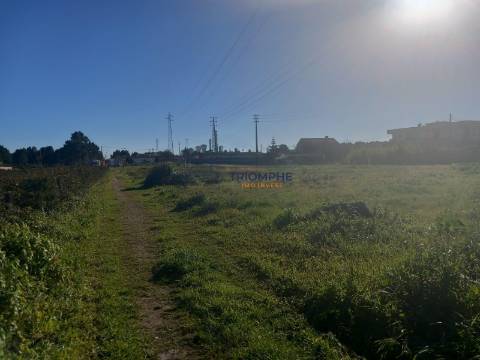 Terreno para construção 9.600m2 Marinha Grande