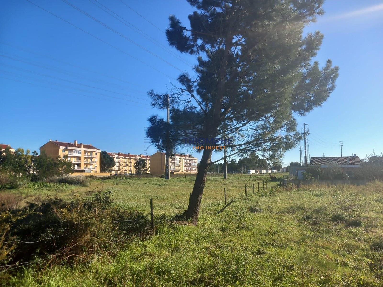 Terreno para construção 9.600m2 Marinha Grande