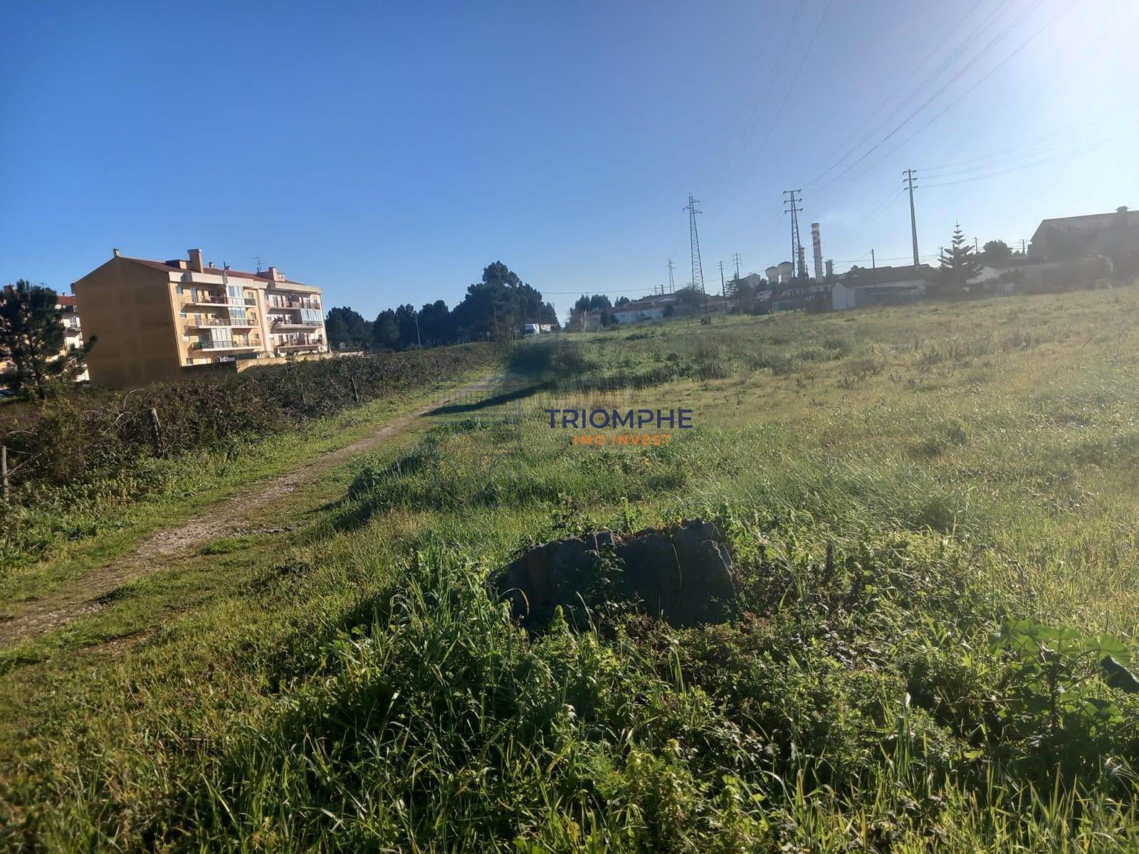 Terreno para construção 9.600m2 Marinha Grande