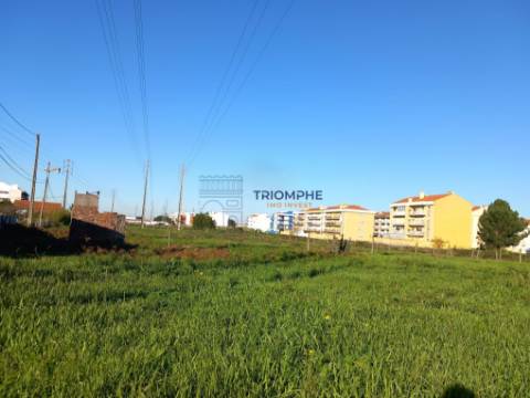 Terreno para construção 9.600m2 Marinha Grande