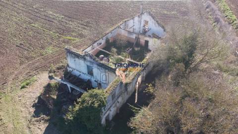 Quinta T5 com Projeto em Aprovação - Rio Maior