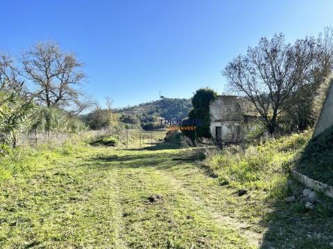 Quinta T5 com Projeto em Aprovação - Rio Maior