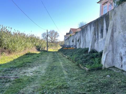 Quinta T5 com Projeto em Aprovação - Rio Maior