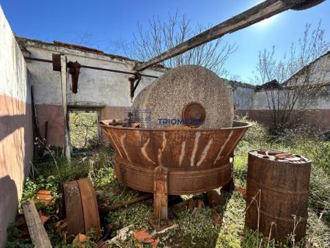 Quinta T5 com Projeto em Aprovação - Rio Maior