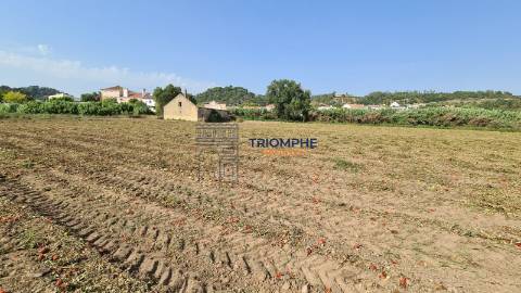 Quinta T5 com Projeto em Aprovação - Rio Maior