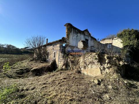 Quinta T5 com Projeto em Aprovação - Rio Maior