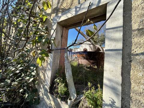 Quinta T5 com Projeto em Aprovação - Rio Maior